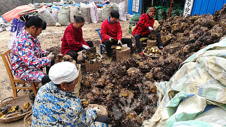 1667028297119877.jpg e2cc121cb5ab3a7057d3fa2c9c3767e0_fee3eddde4c34ddda17d6230840788b9.jpg