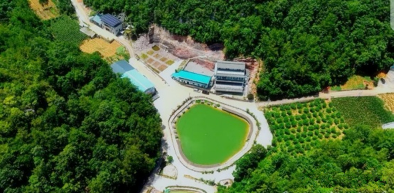 1791783946866423.png 图片7.png
